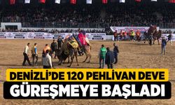 Denizli’de 120 pehlivan deve güreşmeye başladı