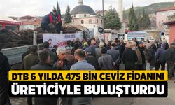 DTB 6 Yılda 475 Bin Ceviz Fidanını Üreticiyle Buluşturdu