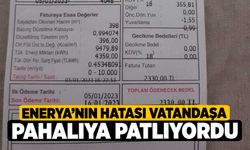 Enerya’nın hatası vatandaşa pahalıya patlıyordu