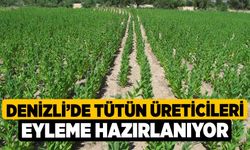 Denizli’de tütün üreticileri eyleme hazırlanıyor