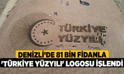 Denizli’de 81 bin fidanla 'Türkiye Yüzyılı' logosu işlendi