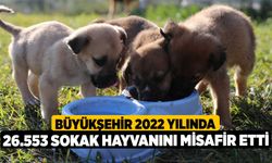 Büyükşehir 2022 yılında 26.553 sokak hayvanını misafir etti