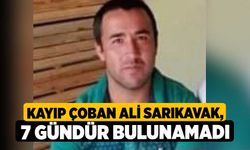 Kayıp Çoban Ali Sarıkavak, 7 Gündür Bulunamadı