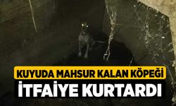 Kuyuda mahsur kalan köpeği itfaiye kurtardı