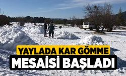 Yaylada kar gömme mesaisi başladı