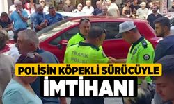 Polisin köpekli sürücüyle imtihanı