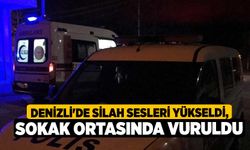 Denizli'de Silah Sesleri Yükseldi, Sokak ortasında vuruldu