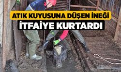 Atık kuyusuna düşen ineği itfaiye kurtardı