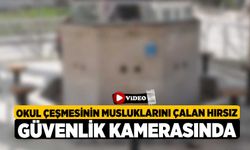 Okul Çeşmesinin Musluklarını Çalan Hırsız Güvenlik Kamerasında