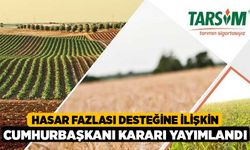 Hasar fazlası desteğine ilişkin Cumhurbaşkanı kararı yayımlandı