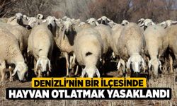 Denizli'nin Bir İlçesinde Hayvan otlatmak yasaklandı