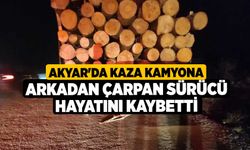 Akyar'da Kaza Kamyona Arkadan Çarpan Sürücü Hayatını Kaybetti