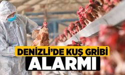 Denizli’de kuş gribi alarmı!