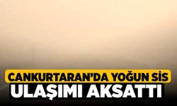 Cankurtaran’da Yoğun sis ulaşımı aksattı 