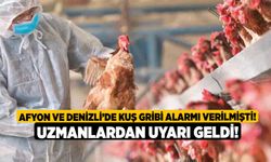 Afyon ve Denizli’de kuş gribi alarmı verilmişti! Uzmanlardan uyarı geldi!