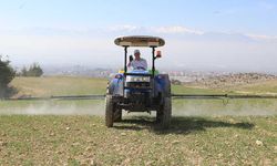 Pamukkale Belediyesi Çiftçilere Tohum ve Yem Desteğine Hazırlanıyor