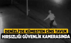 Denizli'de kümesten cins tavuk hırsızlığı güvenlik kamerasında