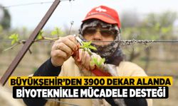 Büyükşehir’den 3900 dekar alanda biyoteknikle mücadele desteği 