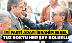 İyi Parti Adayı Şenel, Tuz Koktu Her Şey Bozuldu