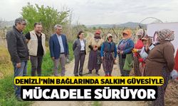 Denizli’nin Bağlarında Salkım Güvesiyle Mücadele Sürüyor