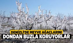 Denizli'de Meyve Ağaçlarını Dondan Buzla Koruyorlar