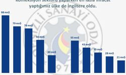 Denizli İhracatı Yüzde 15,8 ile Düşüşünü Sürdürdü