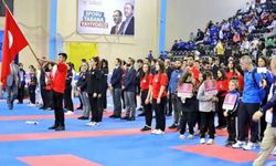 Türkiye Karate Şampiyonası Denizli'de başladı