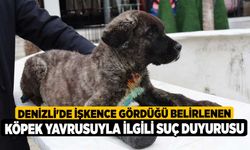 Denizli'de işkence gördüğü belirlenen köpek yavrusuyla ilgili suç duyurusu