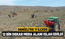 Denizli'de 11 ilçede 12 bin dekar mera alanı ıslah edildi