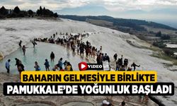 Baharın gelmesiyle birlikte Pamukkale’de yoğunluk başladı