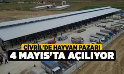 Çivril'de hayvan pazarı 4 Mayıs'ta açılıyor