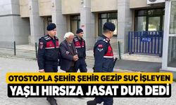 Otostopla şehir şehir gezip suç işleyen yaşlı hırsıza JASAT dur dedi