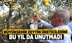 Büyükşehir zeytin üreticilerini bu yıl da unutmadı