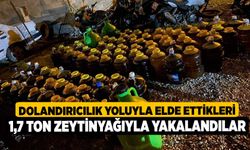 Dolandırıcılık yoluyla elde ettikleri 1,7 ton zeytinyağıyla yakalandılar