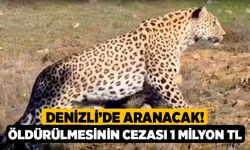 Denizli’de aranacak! Öldürülmesinin cezası 1 milyon TL