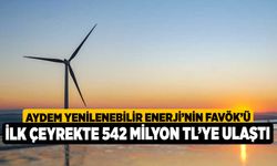 Aydem Yenilenebilir Enerji’nin FAVÖK’ü İlk Çeyrekte 542 Milyon TL’ye Ulaştı