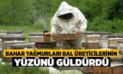 Bahar Yağmurları Bal Üreticilerinin Yüzünü Güldürdü