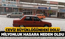 Ceviz Büyüklüğündeki Dolu Milyonluk Hasara Neden Oldu