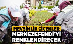 Mevsimlik Çiçekler Merkezefendi’yi Renklendirecek