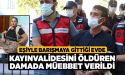 Eşiyle barışmaya gittiği evde kayınvalidesini öldüren damada müebbet verildi