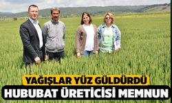 Denizli’de Yağışlar Hububat Üreticilerini Sevindirdi