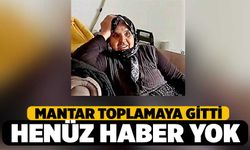 Mantar Aramaya Giden Yaşlı Kadın Kayboldu