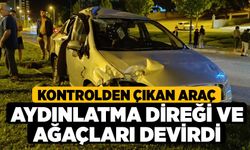 Kontrolden çıkan araç aydınlatma direği ve ağaçları devirdi