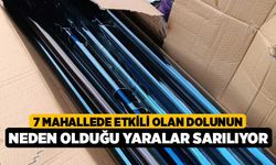 7 Mahallede Etkili Olan Dolunun Neden Olduğu Yaralar Sarılıyor