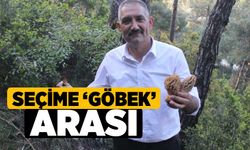 Seçime ‘Göbek’ arası