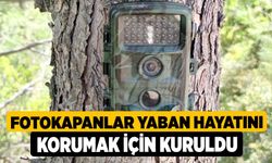 Fotokapanlar yaban hayatını korumak için kuruldu