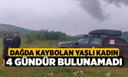 Dağda Kaybolan Yaşlı Kadın 4 gündür bulunamadı