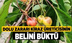 Dolu zararı kiraz üreticisinin belini büktü