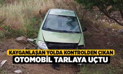 Kayganlaşan yolda kontrolden çıkan otomobil tarlaya uçtu