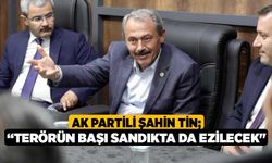 AK Partili Şahin Tin; “Terörün başı sandıkta da ezilecek"